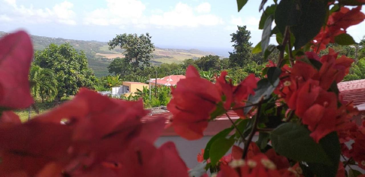 T2 Echappee Belle Sainte-Marie Kybo Karaib Location Pkg Mtgne Cosy Exterior foto